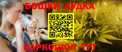 шишки Лесосибирск