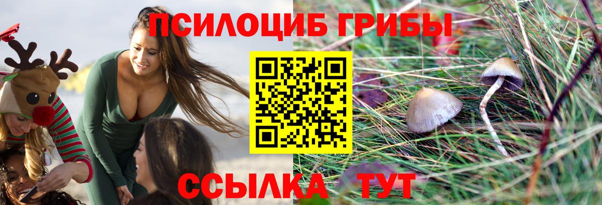 Биробиджан  Псилоцибиновые грибы MAGIC MUSHROOMS  Вход с VPN 